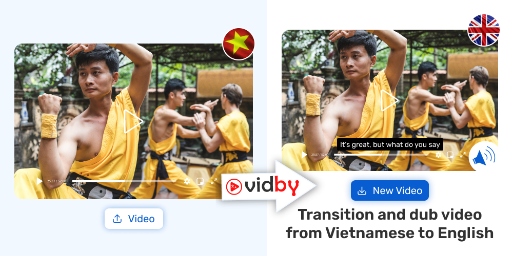 Translation of your video from Vietnamese into English in the Vidby service